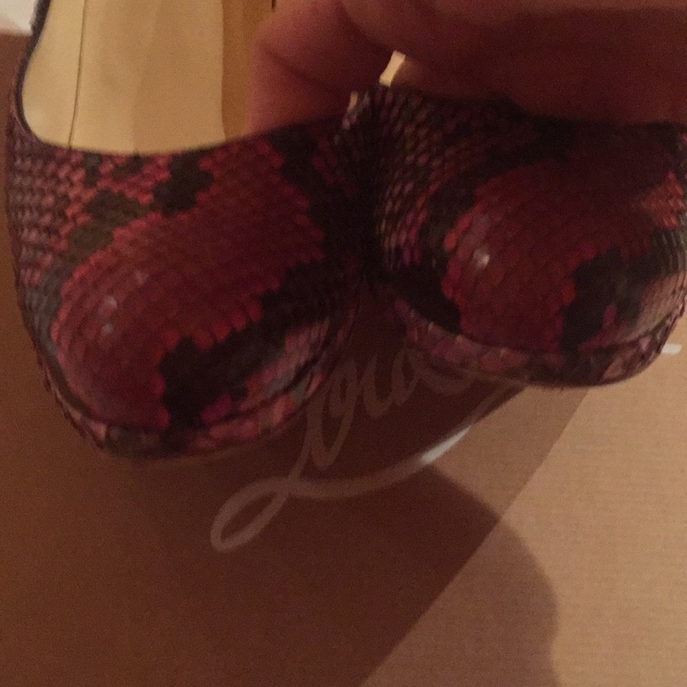 Christan Louboutin 120 Python Simple Pump 39.5 - image 5